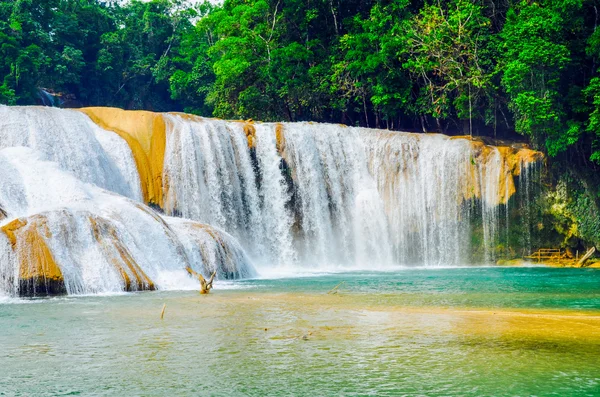 Agua Azul Şelaleleri, Chiapas, Meksika