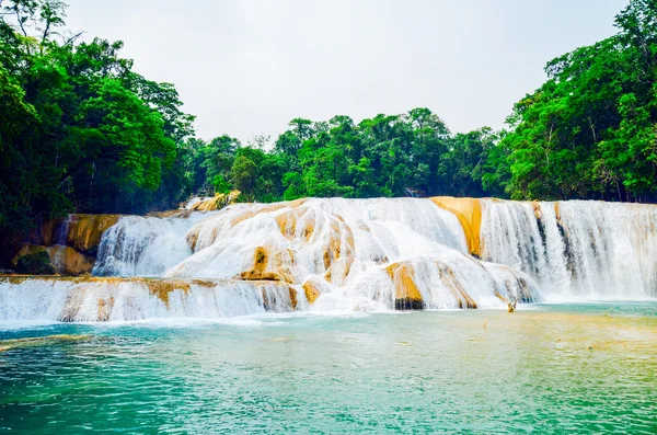 Agua Azul Waterfalls, Chiapas, Mexico — Stock Photo, Image