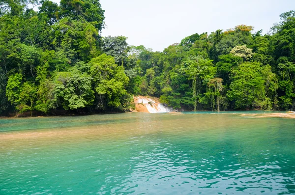 Agua Azul Waterfalls, Chiapas, Mexico — Stock Photo, Image