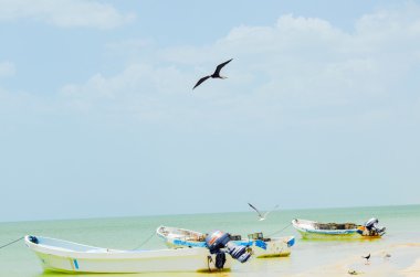 Celestun Beach, Yucatan, Meksika