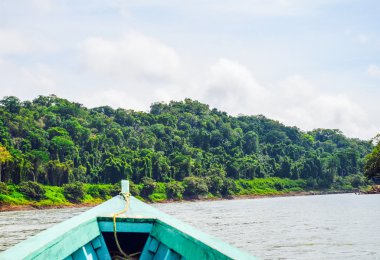 Lacandon ormanı, Chiapas, Meksika 