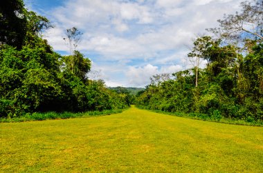 Bonampak forest, Chiapas, Mexico