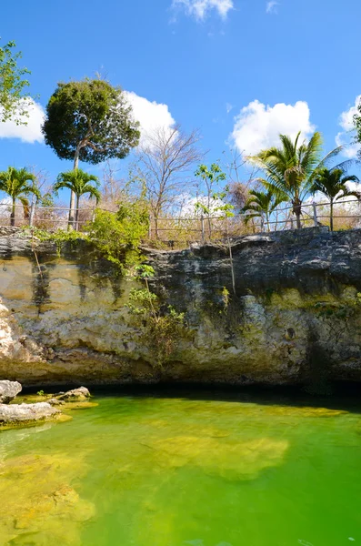Cenote Tortuga, Coba, Yucatan, Mexico — Stock Photo, Image