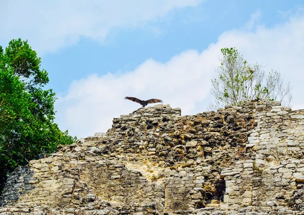 The archaeological site of Coba, Yucatan, Mexico — Stock Photo, Image