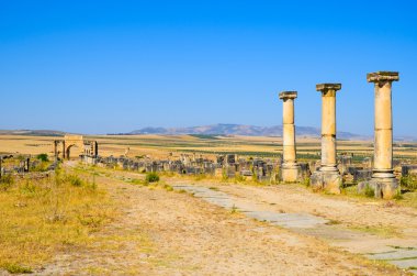 Meknes, Fas. Haziran 2, 2012: Volubilis Roma kalıntıları, Unesco Dünya Mirası