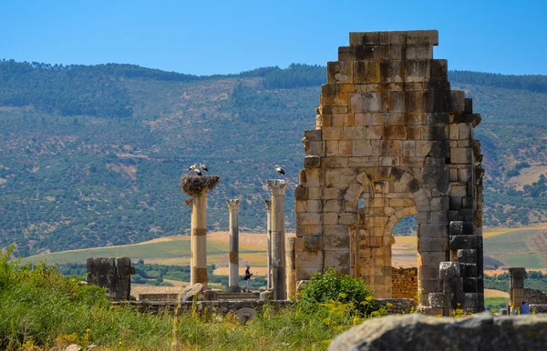 MEKNES, Maroc. 2 JUIN 2012 : Ruines romaines à Volubilis, site du patrimoine mondial de l'UNESCO — Photo