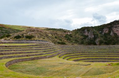 Antik Inca dairesel tarım teraslarının Moray, bitkileri farklı iklim koşullarının etkileri çalışırdım.