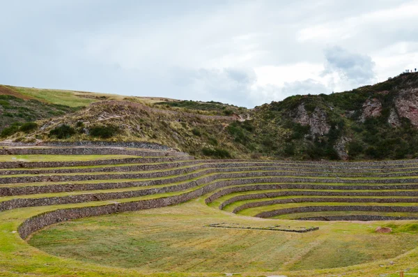 Antiguas terrazas agrícolas circulares incas en Moray usadas para estudiar los efectos de diferentes condiciones climáticas en los cultivos . —  Fotos de Stock