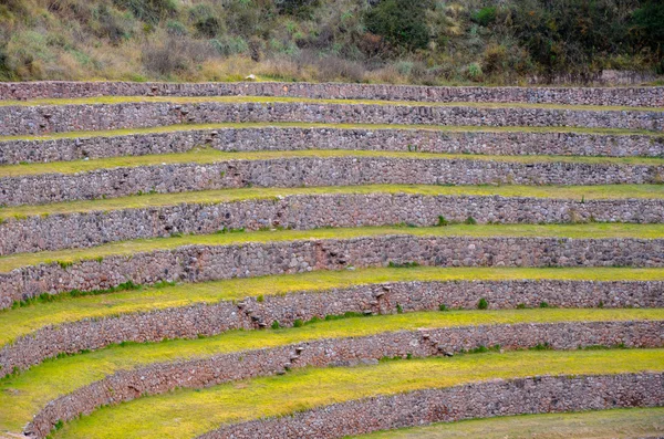 Alte inca runde landwirtschaftliche Terrassen an Muränen verwendet, um die Auswirkungen unterschiedlicher klimatischer Bedingungen auf Nutzpflanzen zu untersuchen. — Stockfoto