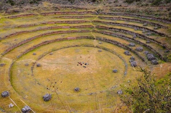 Ősi inka körkörös mezőgazdasági teraszokra Moray tanulmányozására a különböző éghajlati viszonyok hatása növények. — Stock Fotó