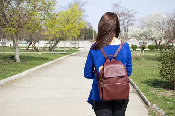 十几岁的女孩与一个背包在路上. 免版税图库图片