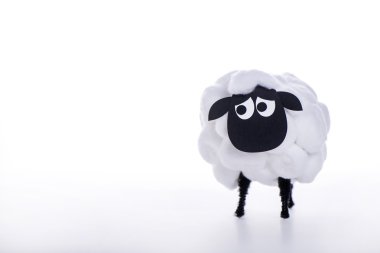 Eid Al Kurban Bayramı koyun