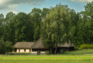 Sazdan çatılı geleneksel ahşap kulübe