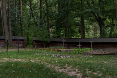 Ormandaki Ahşap Haçlı Huzurlu Kırsal Mezarlığı