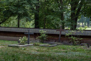 Ormandaki Ahşap Haçlı Huzurlu Kırsal Mezarlığı