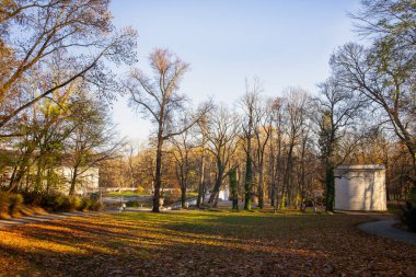 Altın sonbahar güneşi, huzurlu bir parkta uzun gölgeler bırakıyor. Sıcak turuncu ve altın tonlarıyla parlayan ağaçlar..