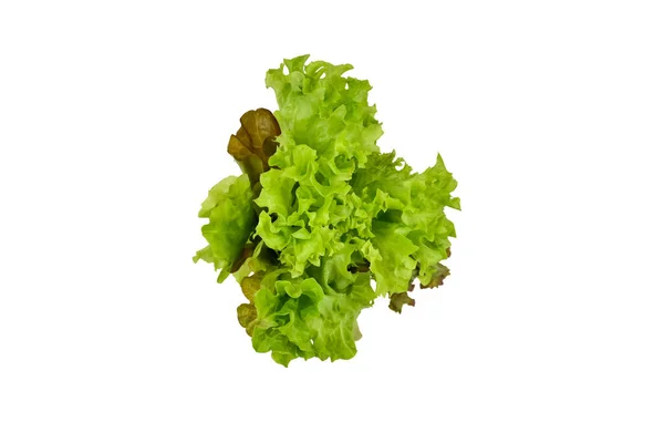 Fresh Green Leaf Lettuce Salladsblad Isolerad Vit Bakgrund Direkt Ovanför — Stockfoto