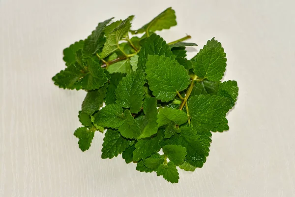 Lemon Balm Balm Beebalm Melissa Lemonbalm Στην Επιφάνεια Του Τραπεζιού — Φωτογραφία Αρχείου