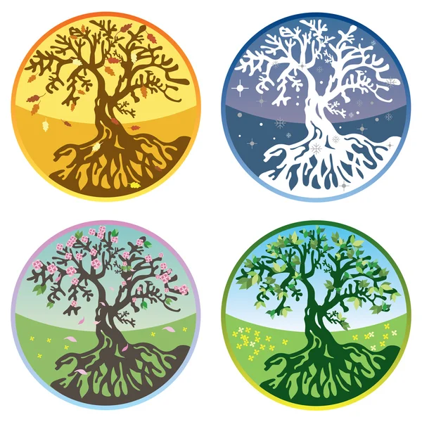 Tree in four seasons in vector