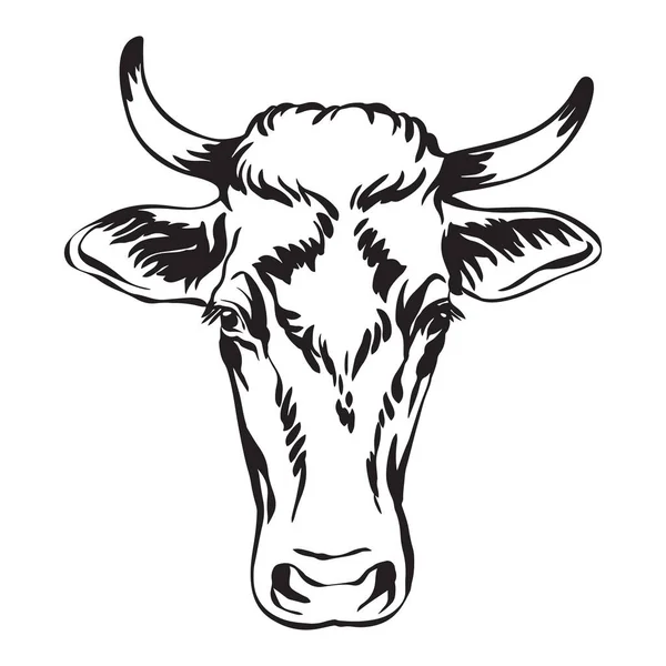 从白色背景中分离出奶牛矢量的抽象等高线像 公牛标识 印刷和纹身的雕刻模板图像 — 图库矢量图片