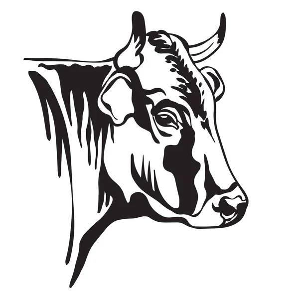 Portrait Abstrait Contour Taureau Cornes Illustration Vectorielle Vache Isolé Sur — Image vectorielle