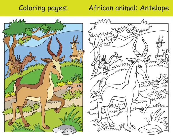 Vektorové Zbarvení Stránky Roztomilou Antilopa Africké Oblasti Karikatura Izolované Barevné — Stockový vektor