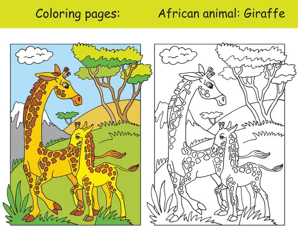 アフリカ地域でかわいいキリンの家族とベクトルの着色ページ 漫画はカラフルなイラストを隔離 キリンの彩色と色のイメージ ぬり絵 デザイン 就学前教育 ゲームのために — ストックベクタ