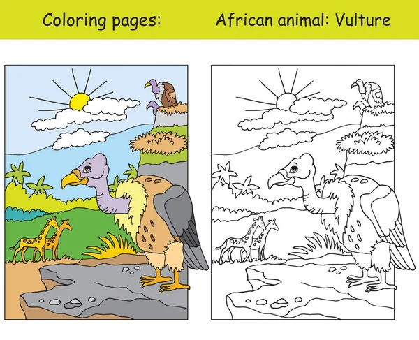 アフリカ地域でかわいいハゲタカを持つベクトル着色ページ 漫画はカラフルなイラストを隔離 ハゲタカの着色と色のイメージ ぬり絵 デザイン 就学前教育 ゲームのために — ストックベクタ