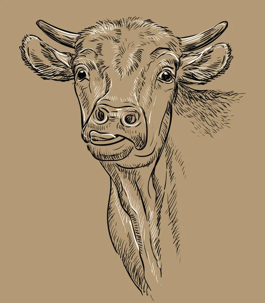 Монохромная Головка Коровы Показывает Набросок Языка Нарисованный Вручную Векторном Рисунке — стоковый вектор