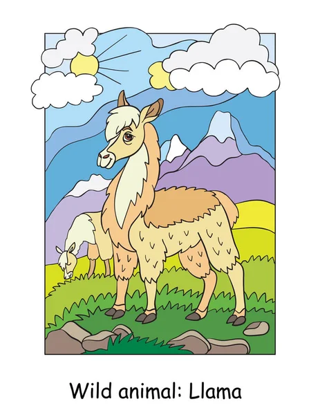 Vector Colorful Illustration Cute Llama Mountain Area Cartoon Contour Illustration — Stock Vector