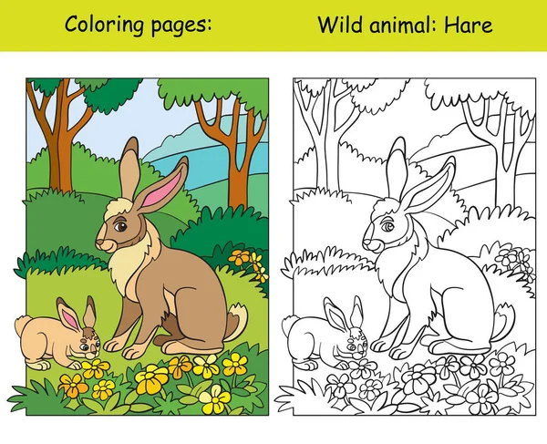 Vektor Färg Sida Med Söt Hare Skogen Tecknad Isolerad Färgglad — Stock vektor