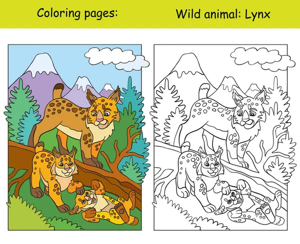 Coloriage Vectoriel Avec Lynx Mignon Dans Région Montagne Dessin Animé — Image vectorielle