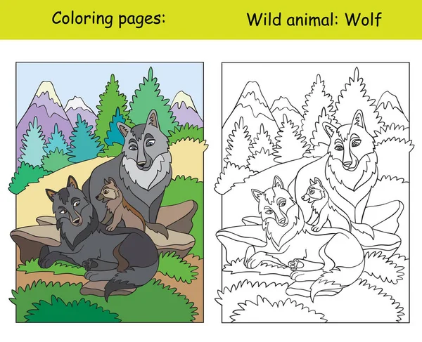 Wektor Kolorowanki Cute Wilki Obszarze Górskim Kreskówka Izolowane Kolorowe Ilustracje — Wektor stockowy