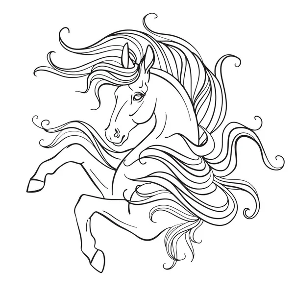 Hermoso Unicornio Con Una Melena Larga Ilustración Contorno Blanco Negro — Vector de stock