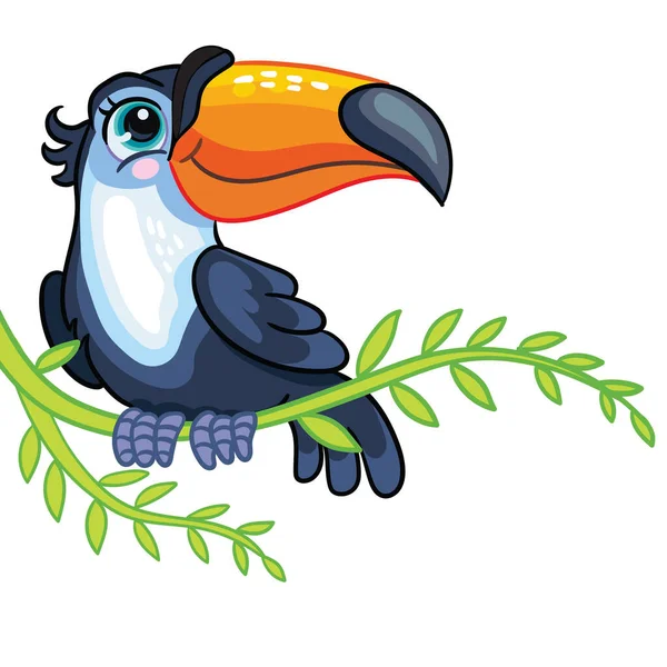 Little toucan cute postać z kreskówki wektor ilustracji — Wektor stockowy