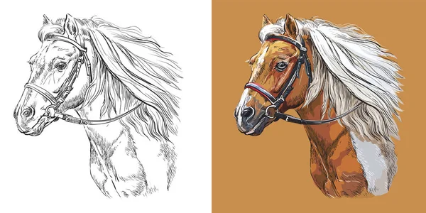 Vetores de Cavalo Pulando Desenho e mais imagens de Ilustração e Pintura -  Ilustração e Pintura, Animal, Animal selvagem - iStock