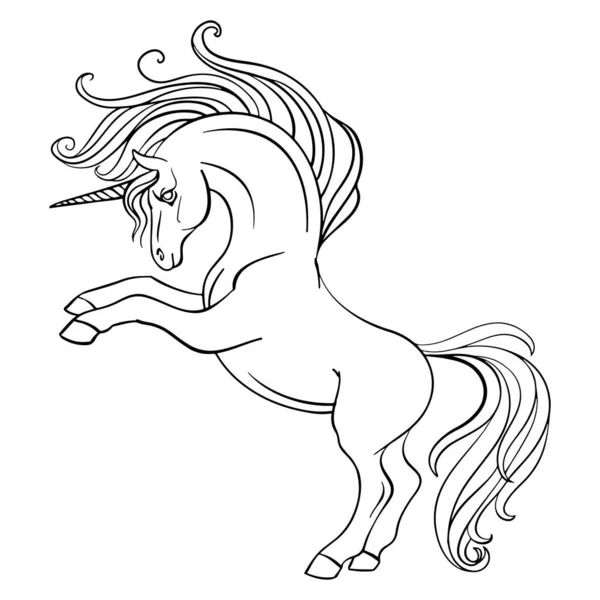Little Unicorn Long Mane Tail Vector Black White Illustration Coloring — Stock Vector