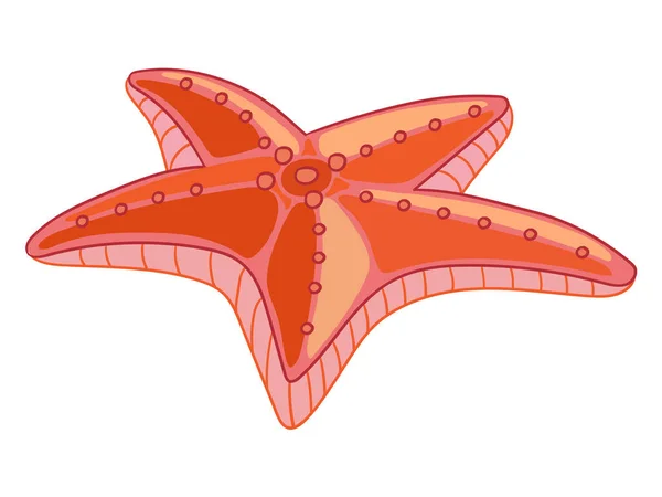 Divertido dibujo animado estrella de mar roja vector ilustración aislada — Vector de stock