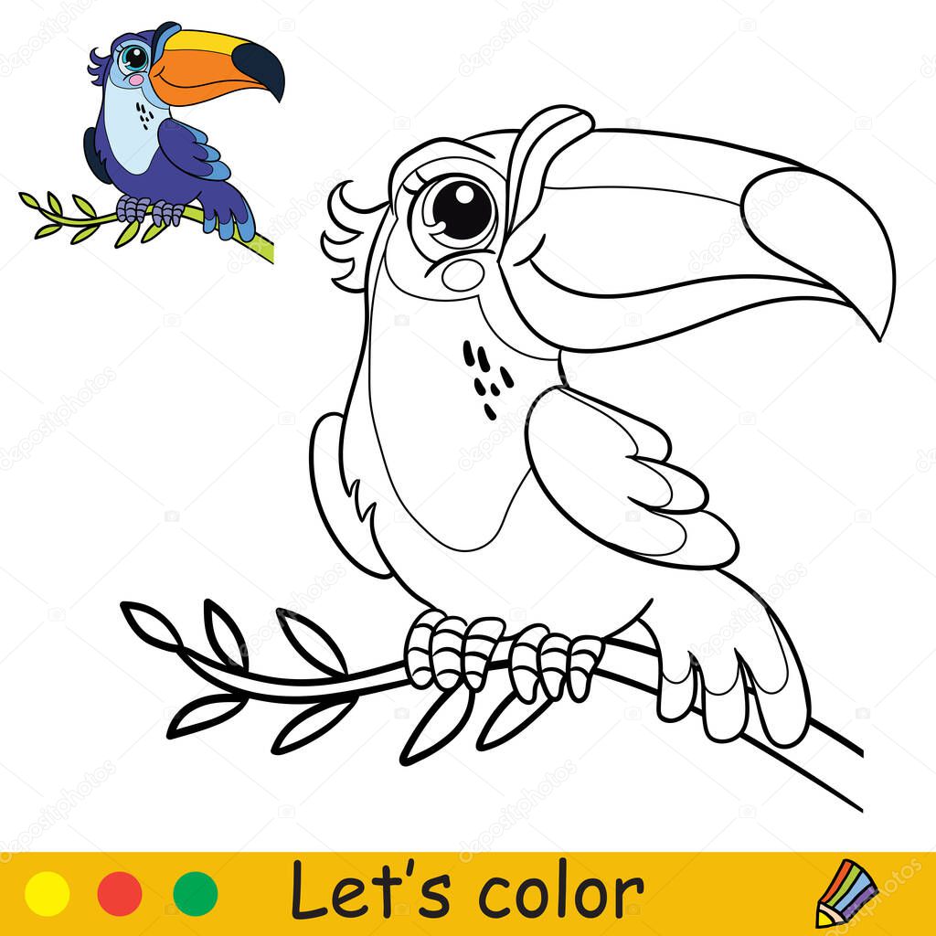 Cartoon cute toucan sitting on a liana. Coloring book page with colorful template for kids. Vector isolated illustration. For coloring book, print, game, party, design