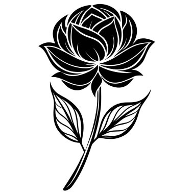 Ayrıntılı yaprakları ve yaprakları olan zarif siyah beyaz gül çizimi