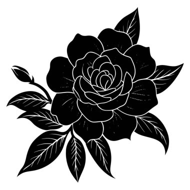 Çiçek açan yapraklı bir gülün zarif siyah silueti.