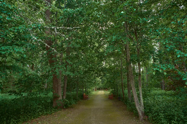 Zielony park z ławki chodnik i czerwony — Zdjęcie stockowe