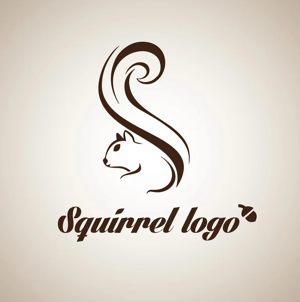 Squirrel logo design — Stock Vector