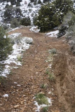 Engebeli, ıslak dağ patikaları, kozalaklı ağaçlar ve kayalık arazilerle çevrili bir ormanlık alanda esiyor. Kar ve toprak parçalarıyla işaretlenmiş patika, uzaklığa doğru uzanıyor. Odaklanma: Çerçevenin ortasında.