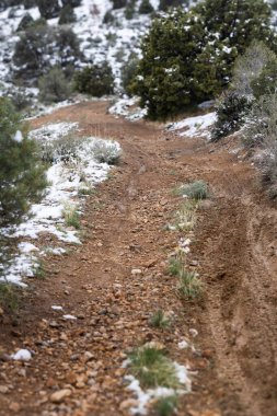 Engebeli, ıslak dağ patikaları, kozalaklı ağaçlar ve kayalık arazilerle çevrili bir ormanlık alanda esiyor. Kar ve toprak parçalarıyla işaretlenmiş patika, uzaklığa doğru uzanıyor. Odaklanma: Çerçevenin ortasında.