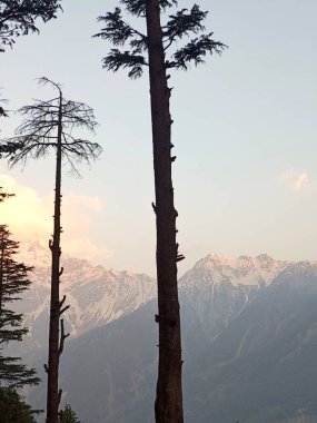 Gün batımından önce akşam saatlerinde güneş ışığıyla kaplı güzel karlı dağlar.