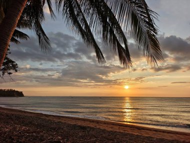 Gün batımında sakin bir plaj sahnesinde ön planda bir palmiye ağacı, yumuşak dalgalar ve suya yansıyan sıcak turuncu bir gökyüzü yer alır. Seyahat, rahatlama ve tropikal yaşam tarzı görselleri için ideal