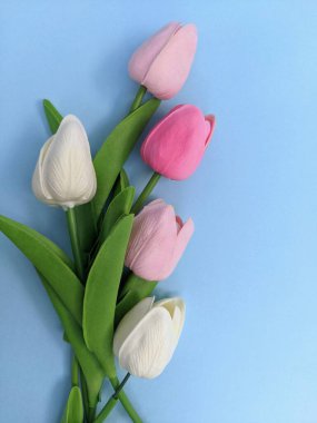 Mavi arka planda izole edilmiş renkli lale çiçekleri ve fotokopi alanı. Anneler günü için arka plan, romantizm, yıldönümü, doğum günü, düğün dekorasyonu konsepti