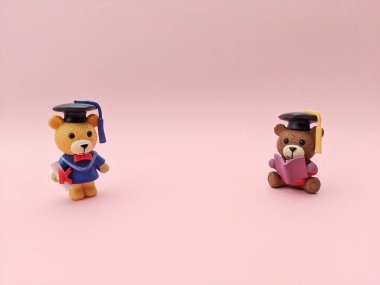 Mezuniyet şapkası takan bir çift pelüş ayı, birinin elinde kitap, diğerinde de küçük bir diploma var. Kaprisli ve arkadaş canlısı, eğitim, kutlama ya da çocukların öğrenme temaları için ideal