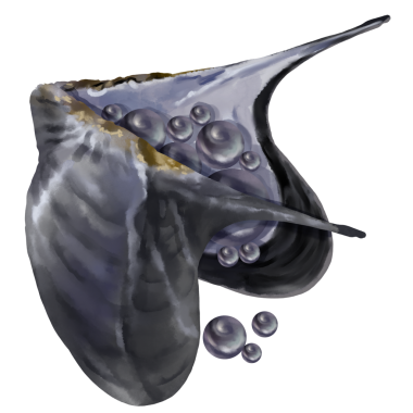 Suluboya el çizimi istiridye. Su altı hazineleri. İnci istiridye çiftliği. İnci madenciliği. Kolye için farklı renkte parlak toplar.